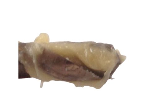 Drill bit with Lubricant