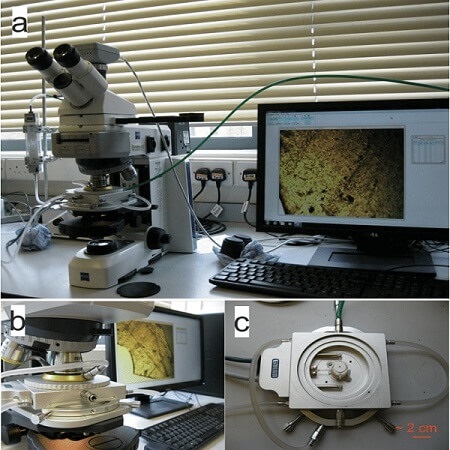 Hot stage microscopy by John Browning