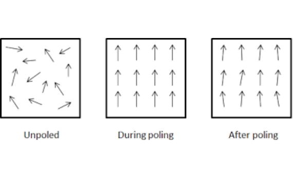 Magnet Dipole Alignment